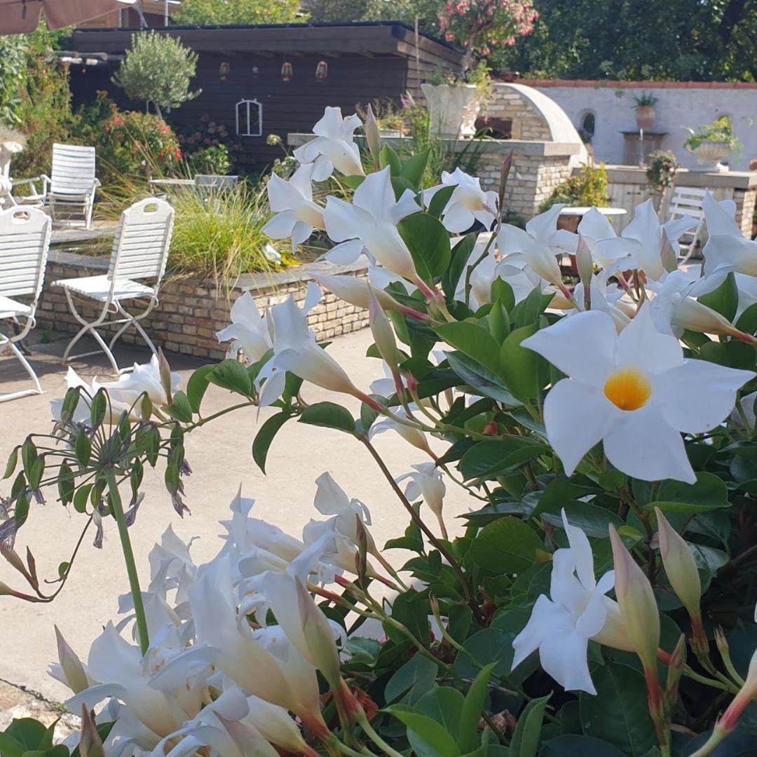 B&B Welgelegen Workum Exterior foto